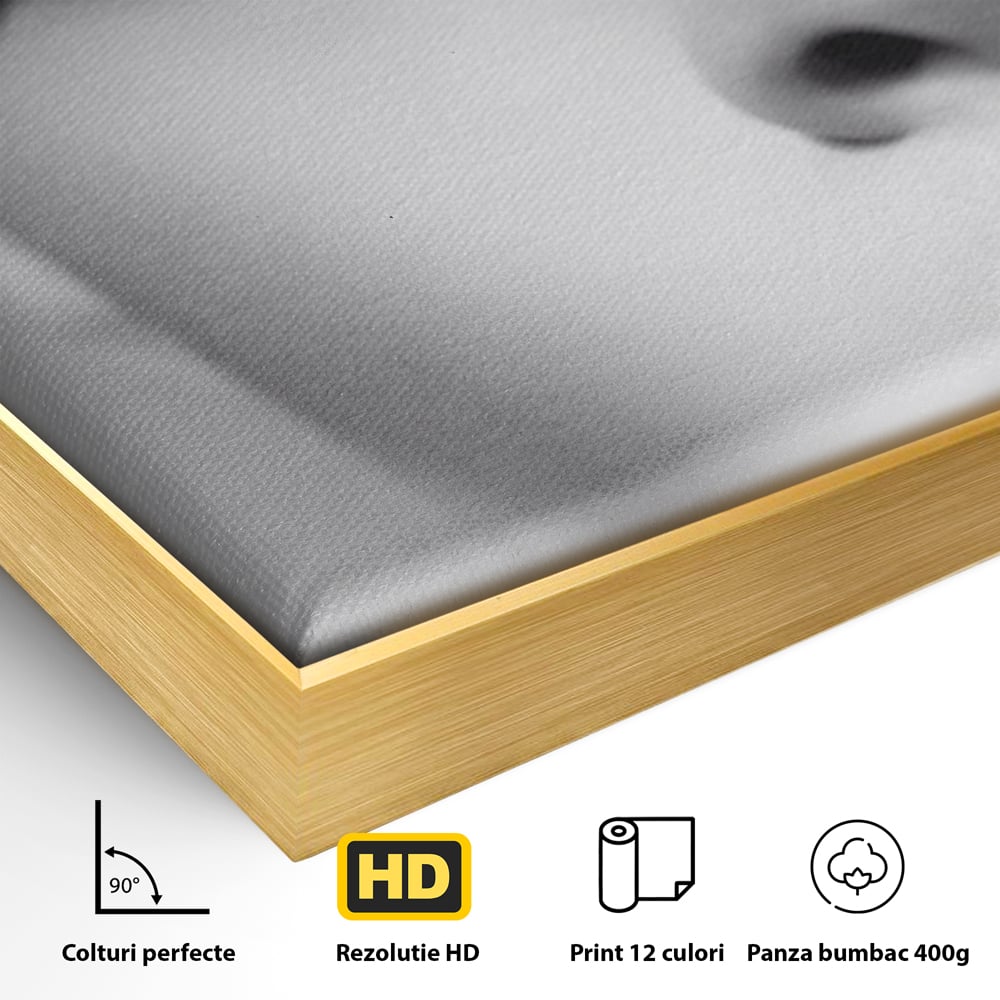 Detaliu al suprafetei: tablou canvas cu portret alb-negru, in rama de aluminiu auriu